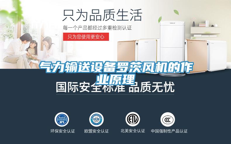 氣力輸送設(shè)備羅茨風(fēng)機(jī)的作業(yè)原理