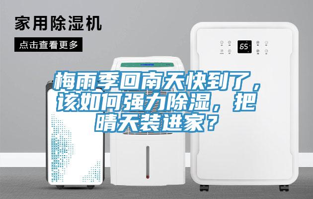 梅雨季回南天快到了，該如何強(qiáng)力除濕，把晴天裝進(jìn)家？