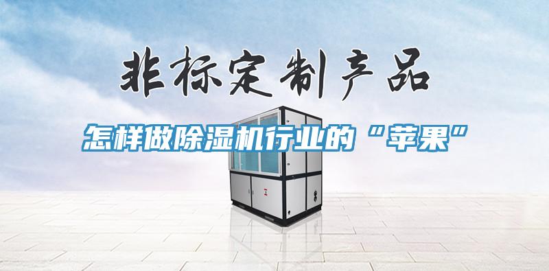 怎樣做除濕機(jī)行業(yè)的“蘋(píng)果”