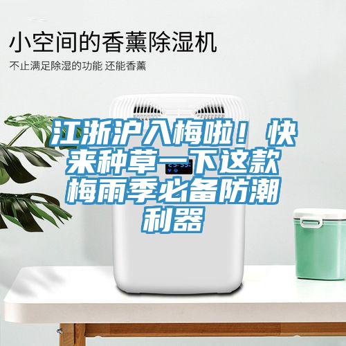 江浙滬入梅啦！快來(lái)種草一下這款梅雨季必備防潮利器