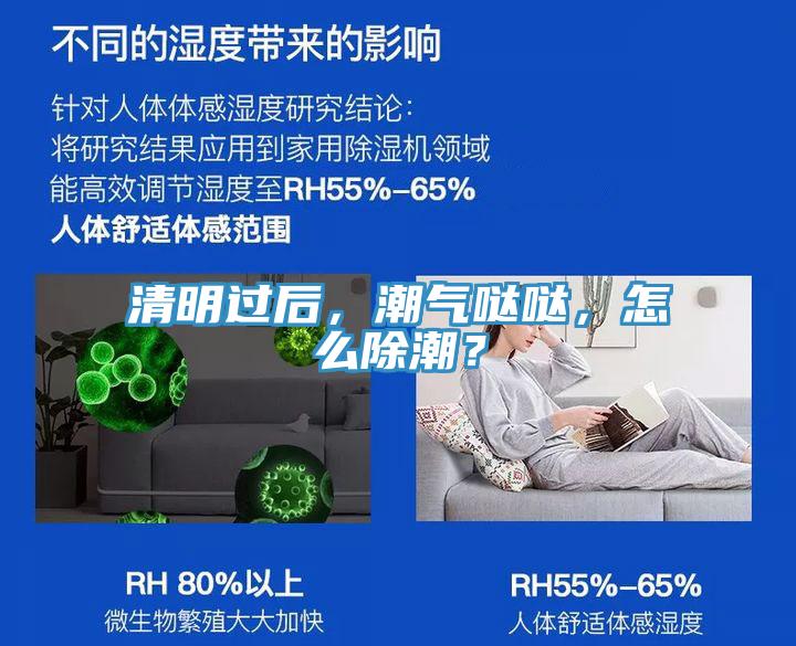 清明過后，潮氣噠噠，怎么除潮？