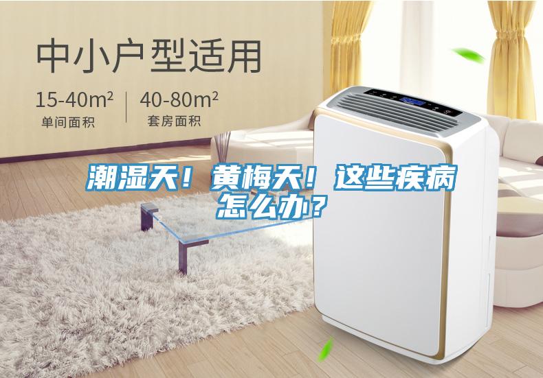 潮濕天！黃梅天！這些疾病怎么辦？