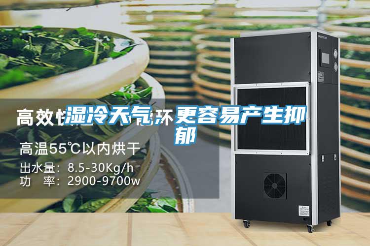 濕冷天氣，更容易產(chǎn)生抑郁