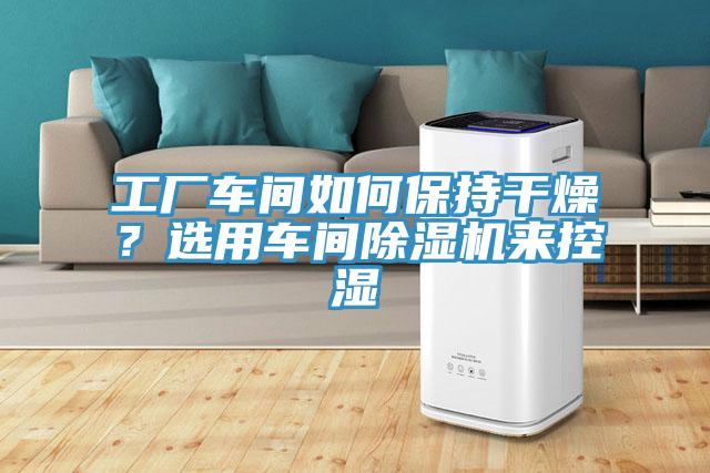 工廠車間如何保持干燥？選用車間除濕機(jī)來控濕