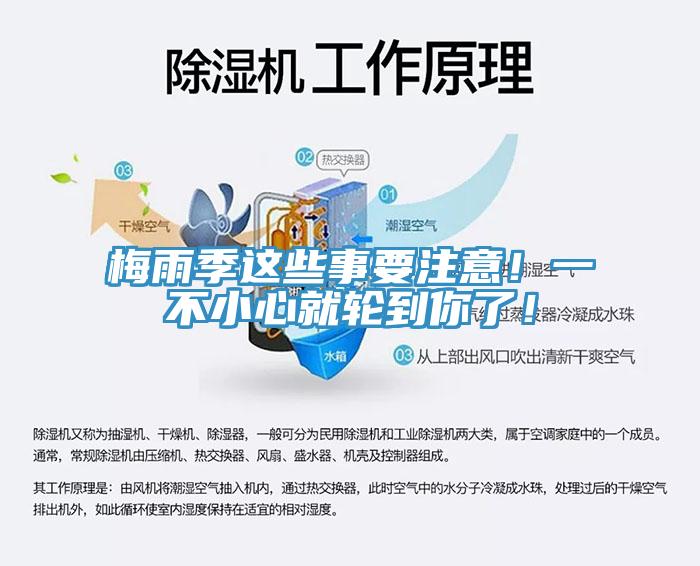 梅雨季這些事要注意！一不小心就輪到你了！