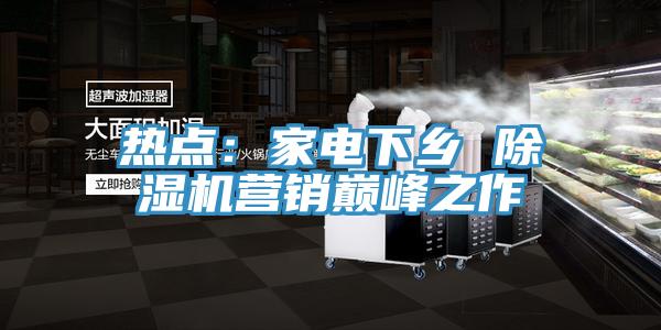 熱點(diǎn)：家電下鄉(xiāng) 除濕機(jī)營(yíng)銷(xiāo)巔峰之作