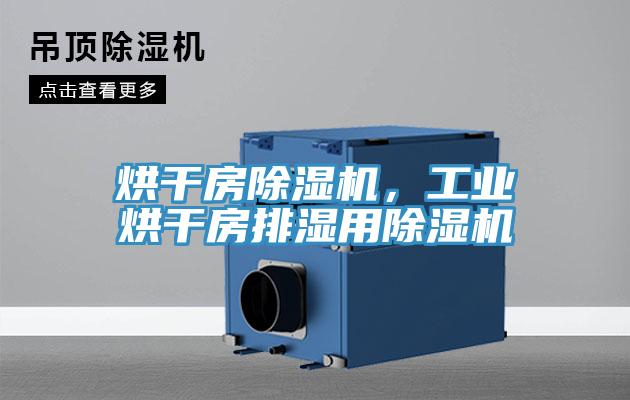 烘干房除濕機(jī)，工業(yè)烘干房排濕用除濕機(jī)