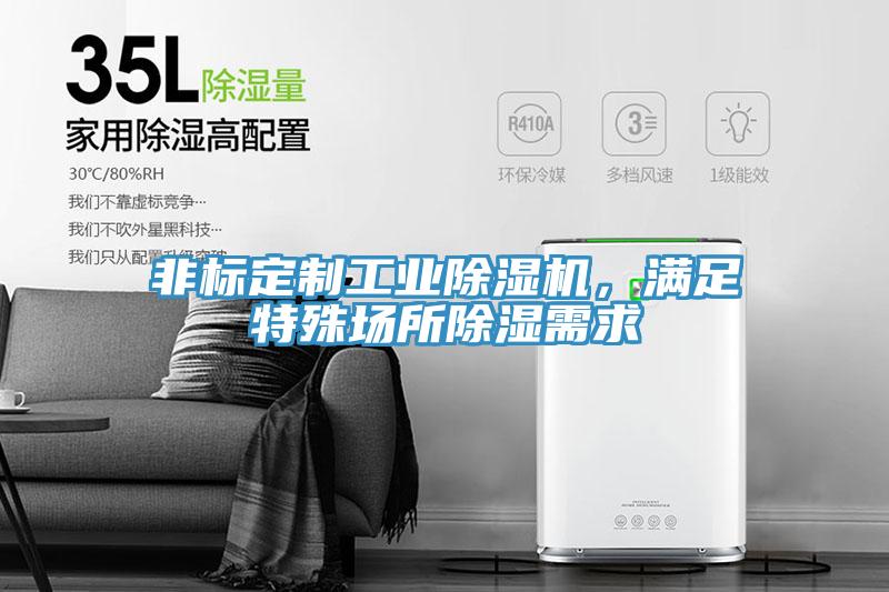 非標(biāo)定制工業(yè)除濕機(jī)，滿足特殊場所除濕需求