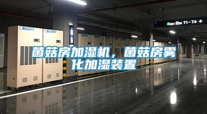 菌菇房加濕機(jī)，菌菇房霧化加濕裝置