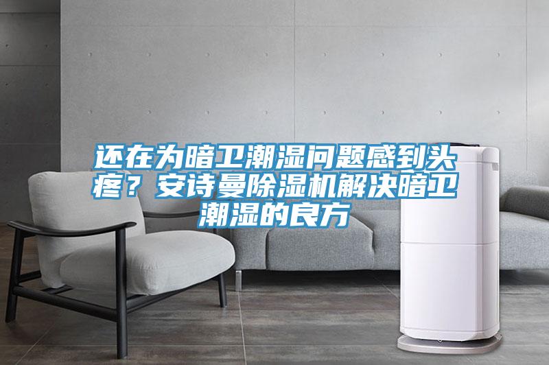 還在為暗衛(wèi)潮濕問題感到頭疼？安詩曼除濕機解決暗衛(wèi)潮濕的良方