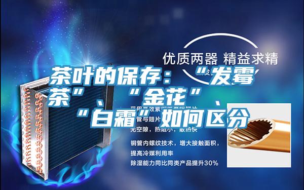 茶葉的保存：“發(fā)霉茶”、“金花”、“白霜”如何區(qū)分