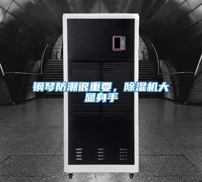 鋼琴防潮很重要，除濕機大顯身手