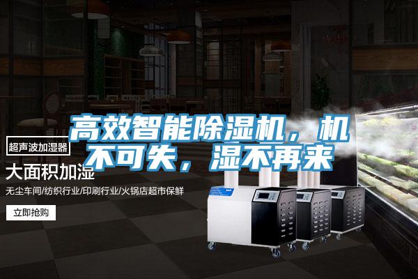 高效智能除濕機(jī)，機(jī)不可失，濕不再來