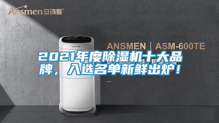 2021年度除濕機(jī)十大品牌，入選名單新鮮出爐！
