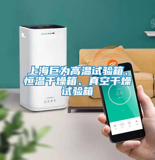 上海巨為高溫試驗箱、恒溫干燥箱、真空干燥試驗箱