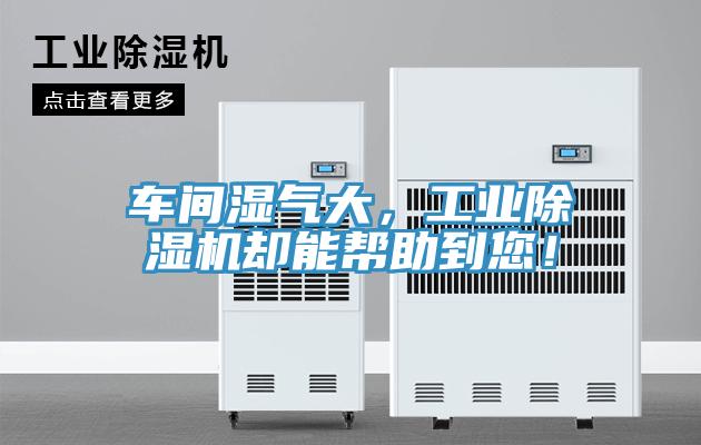 車間濕氣大，工業(yè)除濕機(jī)卻能幫助到您！