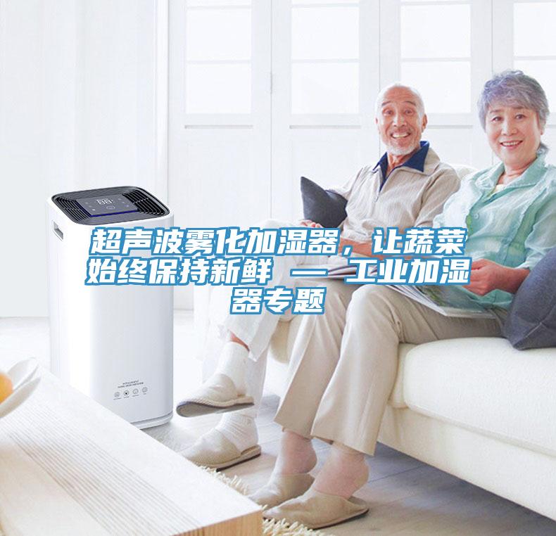 超聲波霧化加濕器，讓蔬菜始終保持新鮮 — 工業(yè)加濕器專題