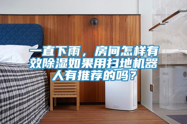 一直下雨，房間怎樣有效除濕如果用掃地機器人有推薦的嗎？