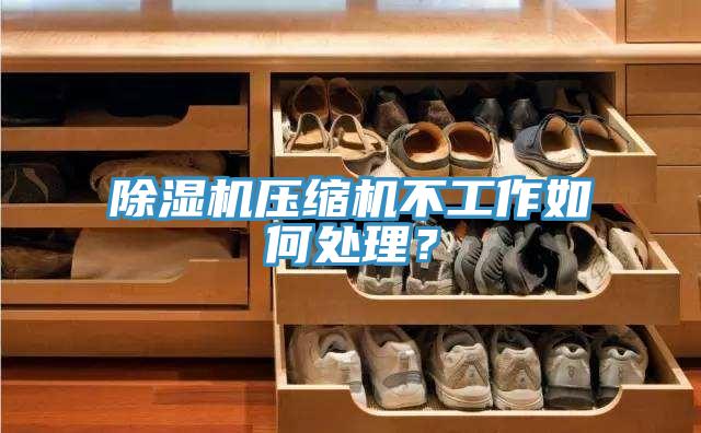 除濕機(jī)壓縮機(jī)不工作如何處理？