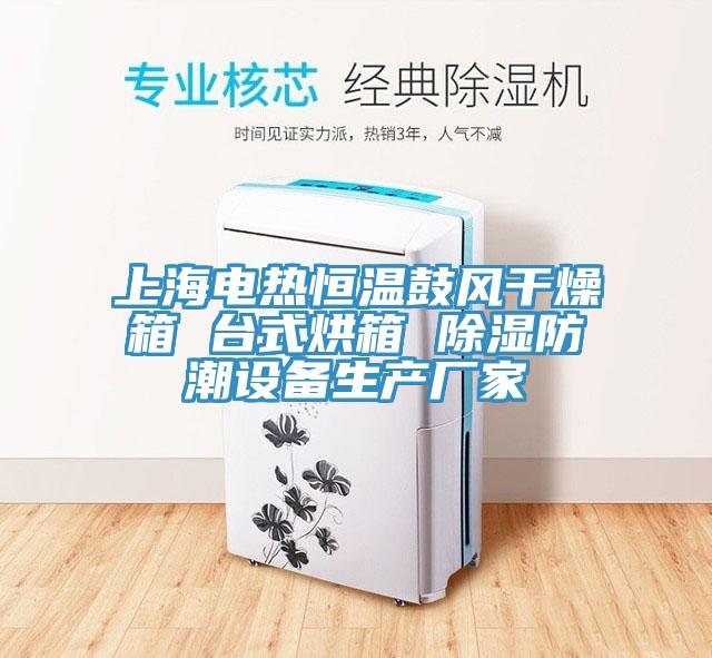 上海電熱恒溫鼓風(fēng)干燥箱 臺式烘箱 除濕防潮設(shè)備生產(chǎn)廠家