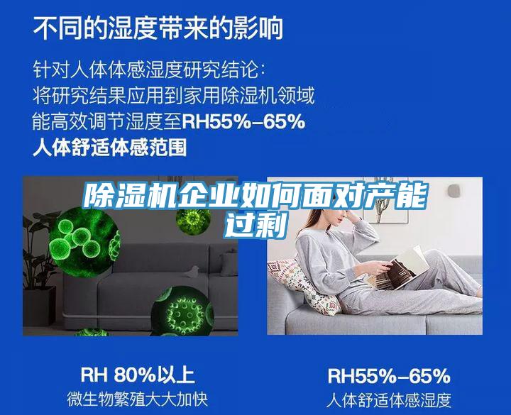 除濕機(jī)企業(yè)如何面對產(chǎn)能過剩