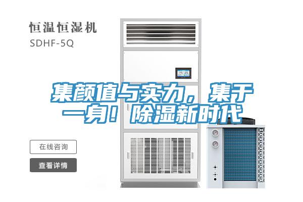 集顏值與實(shí)力，集于一身！除濕新時(shí)代
