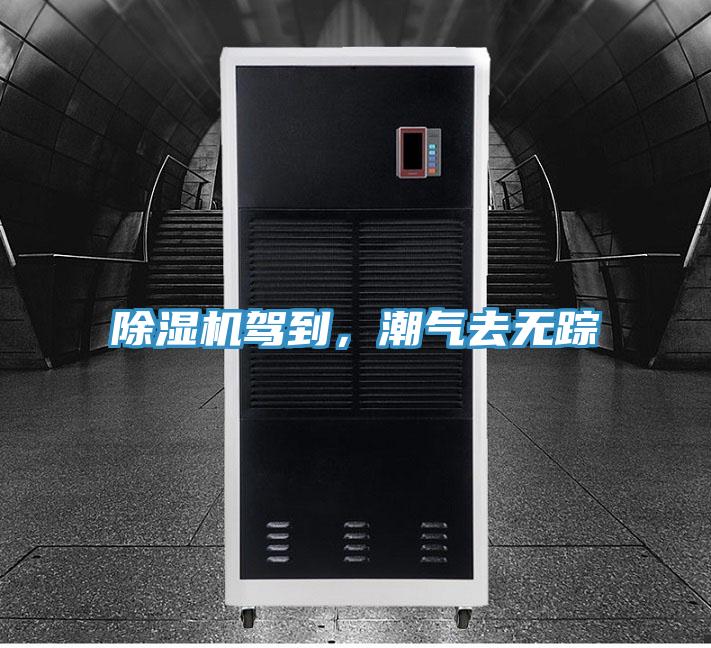 除濕機(jī)駕到，潮氣去無蹤