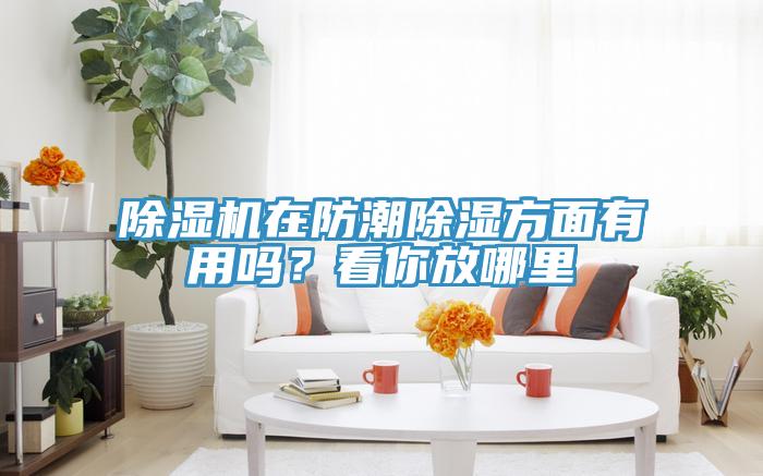 除濕機(jī)在防潮除濕方面有用嗎？看你放哪里