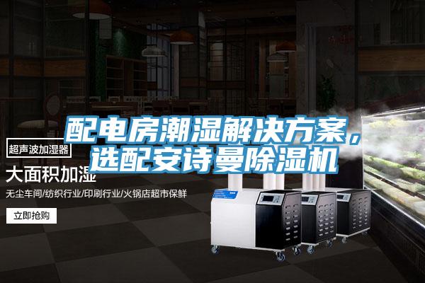 配電房潮濕解決方案，選配安詩(shī)曼除濕機(jī)