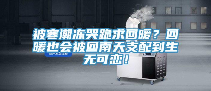 被寒潮凍哭跪求回暖？回暖也會被回南天支配到生無可戀！