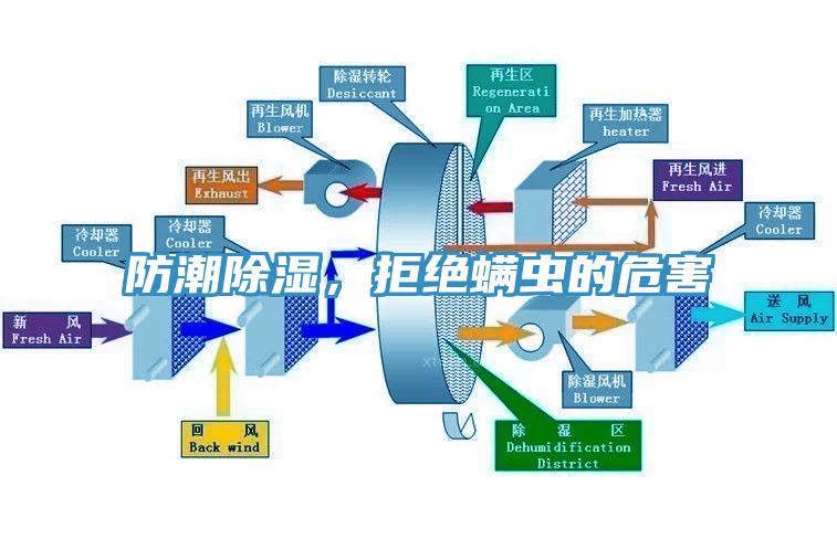 防潮除濕，拒絕螨蟲的危害