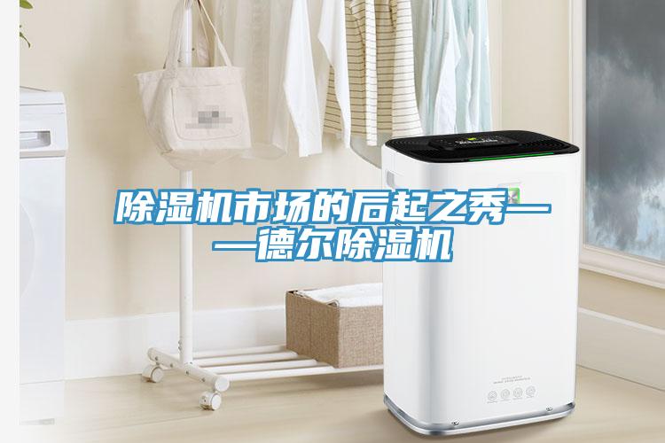 除濕機(jī)市場的后起之秀——德爾除濕機(jī)