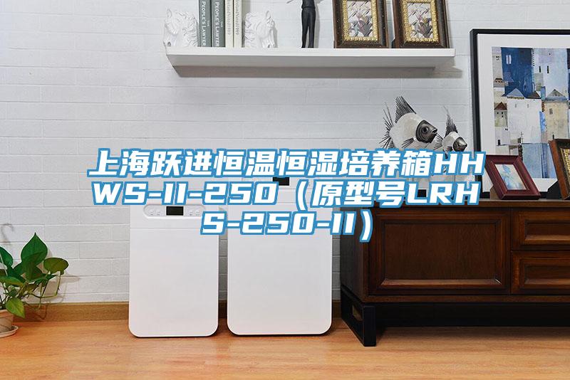 上海躍進(jìn)恒溫恒濕培養(yǎng)箱HHWS-II-250（原型號LRHS-250-II）