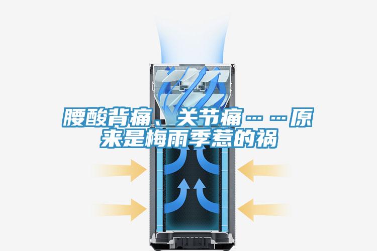 腰酸背痛、關(guān)節(jié)痛……原來是梅雨季惹的禍