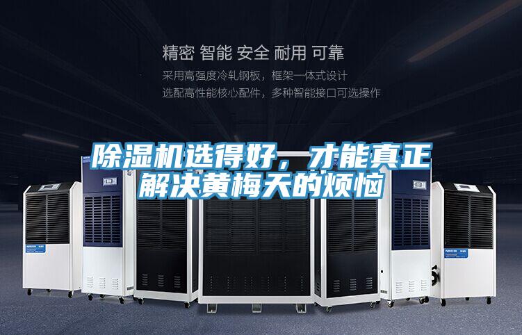 除濕機選得好，才能真正解決黃梅天的煩惱