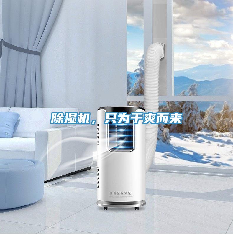 除濕機，只為干爽而來