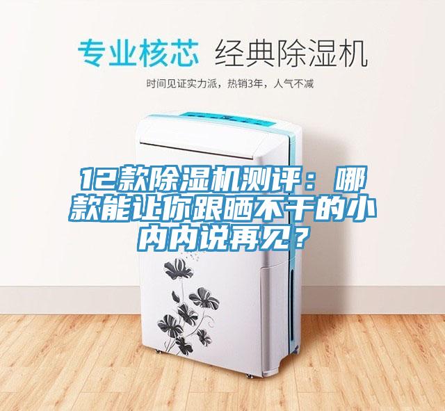 12款除濕機(jī)測(cè)評(píng)：哪款能讓你跟曬不干的小內(nèi)內(nèi)說(shuō)再見(jiàn)？