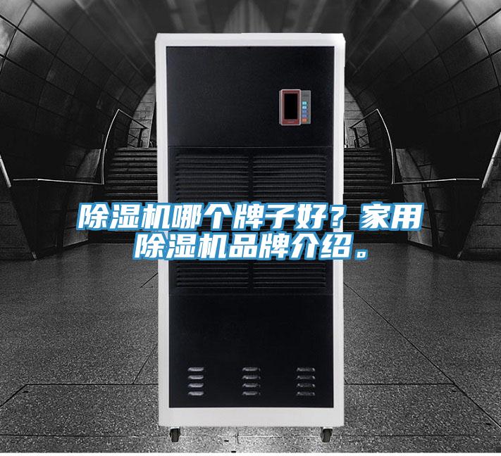 除濕機哪個牌子好？家用除濕機品牌介紹。
