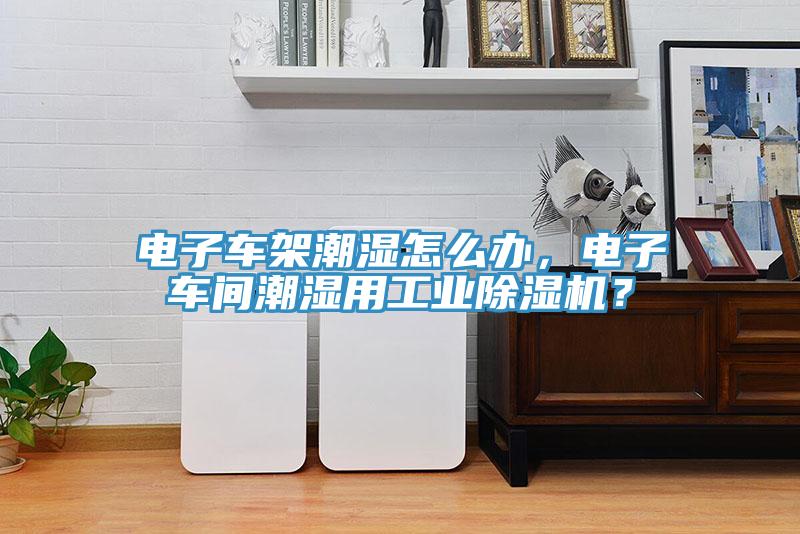 電子車(chē)架潮濕怎么辦，電子車(chē)間潮濕用工業(yè)除濕機(jī)？