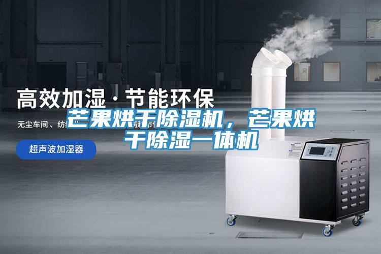 芒果烘干除濕機(jī)，芒果烘干除濕一體機(jī)