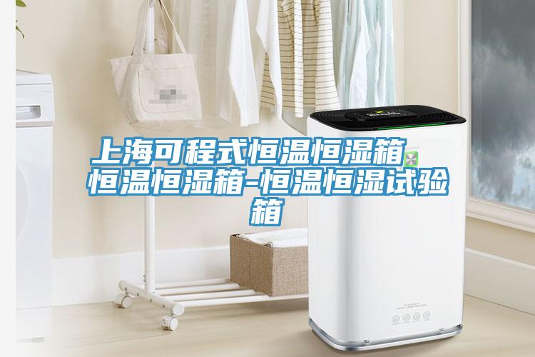 上?？沙淌胶銣睾銤裣? 恒溫恒濕箱-恒溫恒濕試驗箱