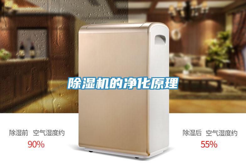 除濕機的凈化原理