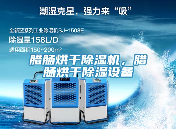 臘腸烘干除濕機，臘腸烘干除濕設(shè)備