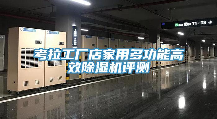 考拉工廠店家用多功能高效除濕機(jī)評(píng)測(cè)
