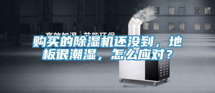 購買的除濕機(jī)還沒到，地板很潮濕，怎么應(yīng)對(duì)？