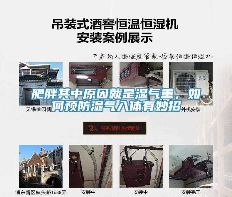 肥胖其中原因就是濕氣重，如何預防濕氣入體有妙招