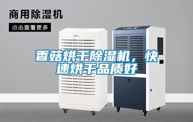 香菇烘干除濕機(jī)，快速烘干品質(zhì)好