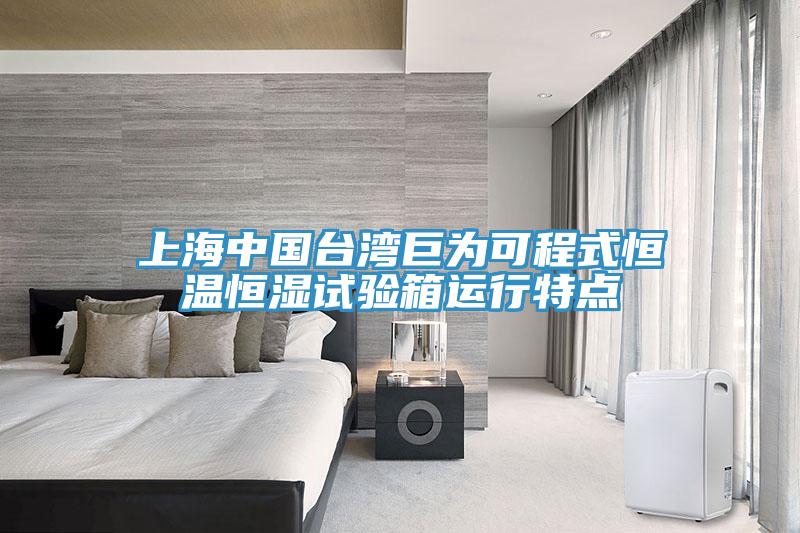 上海中國臺灣巨為可程式恒溫恒濕試驗箱運(yùn)行特點