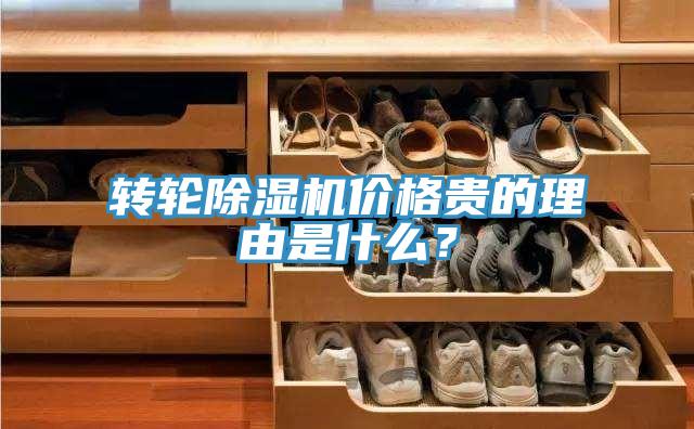 轉(zhuǎn)輪除濕機價格貴的理由是什么？