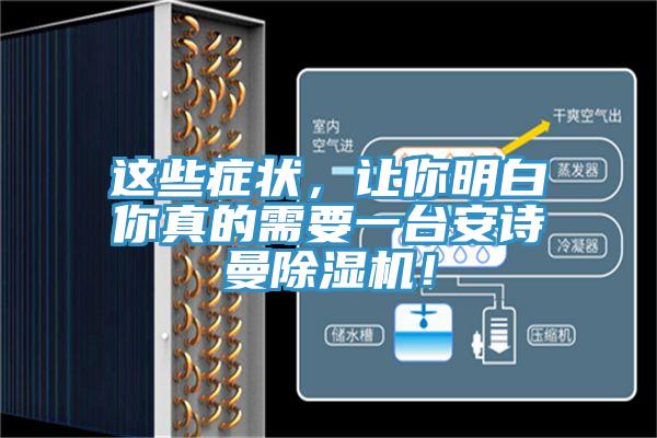 這些癥狀，讓你明白你真的需要一臺安詩曼除濕機！